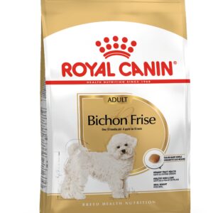 Bichon Frise Adult