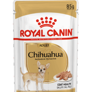 Chihuahua