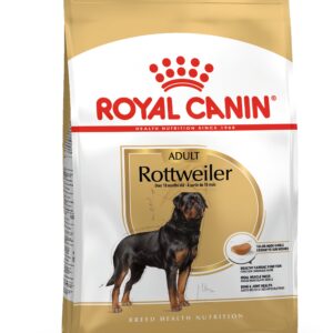 Rottweiler Adult