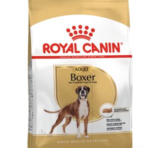 Boxer Adult