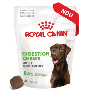 DIGESTION CHEWS