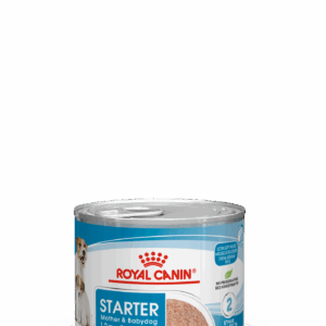 Starter Mother & Babydog