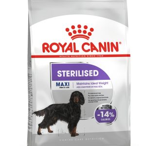 051ab75e-f11d-43f0-a0ca-b1ef0012dac8_DownloadAsJpg