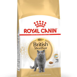fbn2016-packshot-british-shorthair-adult