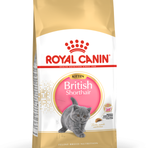 fbn2016-packshot-british-shorthair-kitten