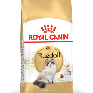 fbn2016-packshot-ragdoll
