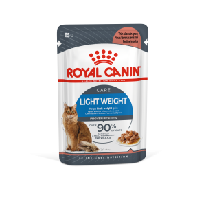 fcn22-light-weight-care-gravy-packshot-pouch-b1