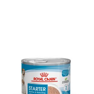sol-starter-mousse-wet-packshot-b1